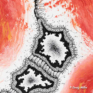 24027 - Red Tide 4 by Sandy Miller, Image 3.