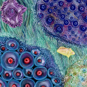25001  Coral and Shell - Polymer Clay Wall Art by Sandy Miller 