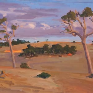 Leaning Trees, Albany Shire by Sperry ANDREWS
