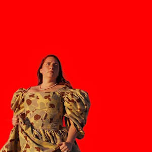 Poem for Red Flowers by Olga Cironis