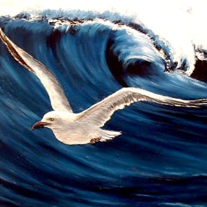 Seagull by Suzanne HALSALL