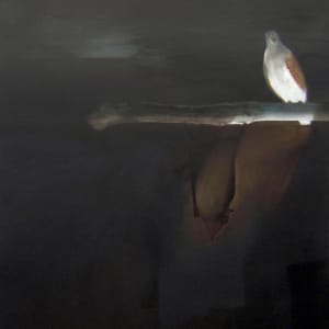 Bird in the Night by Rachael HOOPER