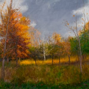 Fall Colors - Sauganash Woods - Framed by Michael Van Zeyl