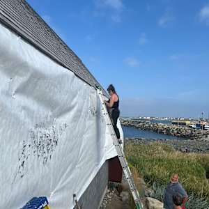 BOREALIS:Arrhythmia by BarbaraHouston ArtStudio  Image: East facade installation 