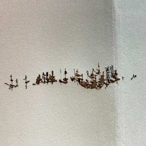 Boreal, 26:3 by BarbaraHouston ArtStudio, Image 7.