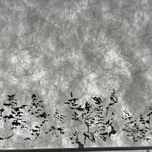 Active Silence, 26:1 by BarbaraHouston ArtStudio, Image 1.