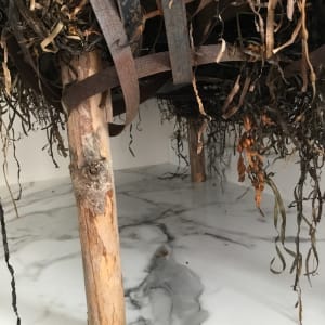Kelp Sheep by BarbaraHouston ArtStudio  Image: Rinded black spruce leg detail, recycled metal strapping and eel grass