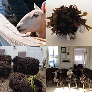 Kelp Sheep by BarbaraHouston ArtStudio  Image: inspo;maquette;WIP;flock of