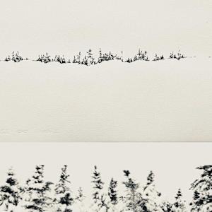 BOREALIS:Arrhythmia by BarbaraHouston ArtStudio  Image: boreal forest, sepia ink on Arches