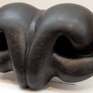 Prosimian Nose by Maria Rucker (RAiR 1999-2000)