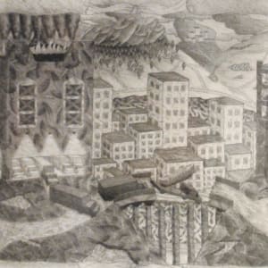 Everyone is Following by Bradley Petersen (RAiR 1976-77)