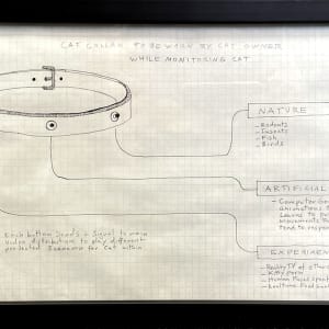 Cat Collar To Be Worn by Cat Owner When Monitoring Cat by Flo McGarrell F. (RAiR 2007-08)