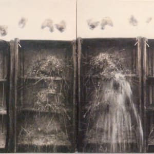 Natural Progression by Robert & Shana ParkeHarrison (RAiR 1994-95)