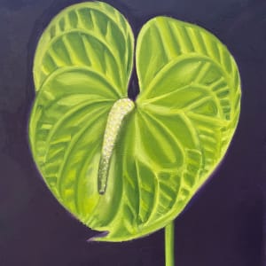 Green Anthurium by Harriet Hill