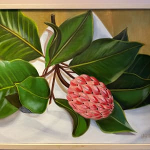 Magnolia Bud by Harriet Hill 