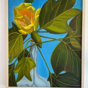 Poplar Tulip by Harriet Hill 