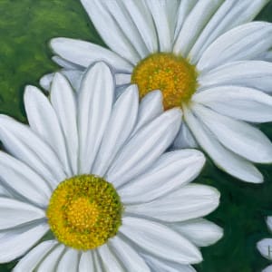 Daisies by Harriet Hill