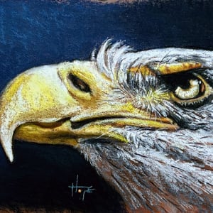 Eagle study 2 by Hope Martin 