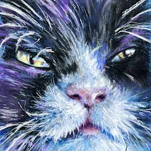 Mr. Fabulous by Hope Martin, Image 1.