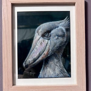 Shoebill study by Hope Martin 