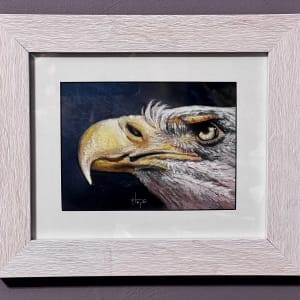 Eagle study 2 by Hope Martin
