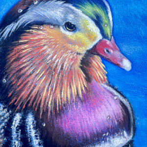 Splendid Plumage by Hope Martin
