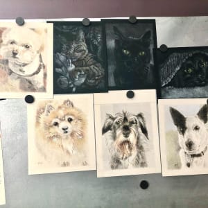 Pet Portrait Fundraiser 2021 by Hope Martin
