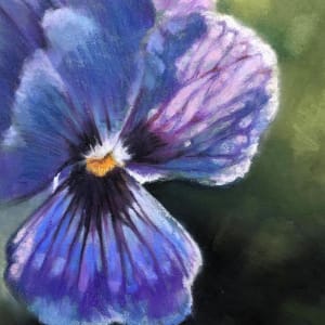 Violet study by Hope Martin