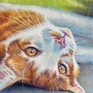 Merry Marmalade by Hope Martin