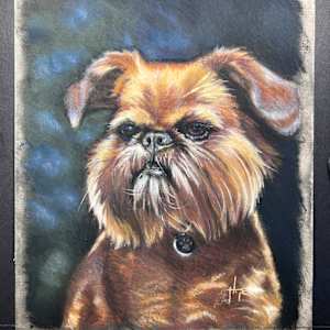 2 Dog Breed Portraits: Golden Retriever & Brussels Griffon by Hope Martin 