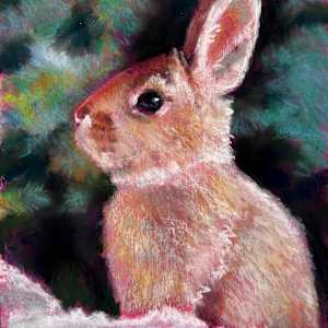 Snow bunny study by Hope Martin