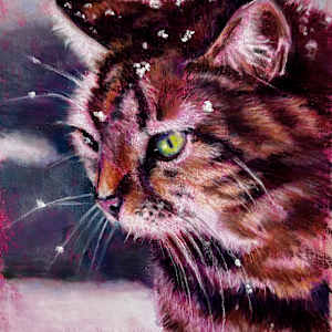 Snow Cat study by Hope Martin