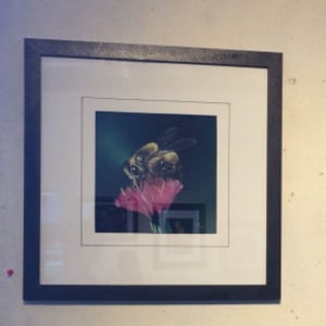 Bee Brave by Hope Martin 