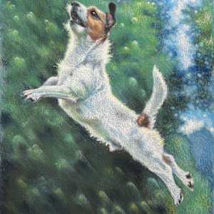 Jumping Jack by Hope Martin