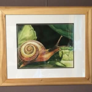 Snail's Pace by Hope Martin 