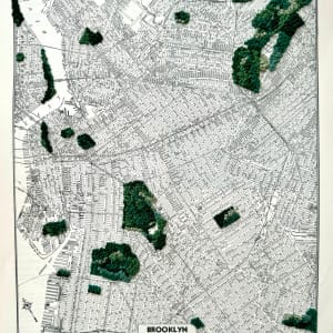Brooklyn by Ariel Kohn