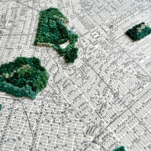 Brooklyn by Ariel Kohn 