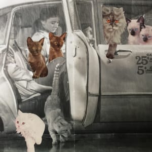 Carpool by Ariel Kohn