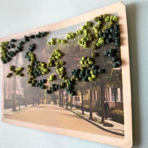 Mt. Vernon by Ariel Kohn 