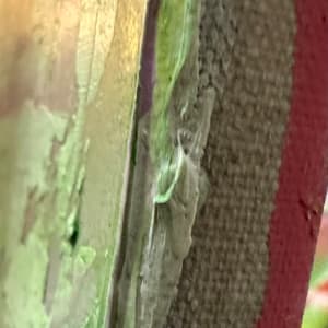 Below Sealevel by Borg de Nobel  Image: Side