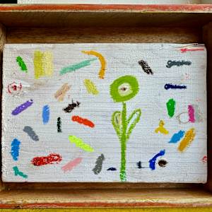 Future Flower In a Box by Borg de Nobel 