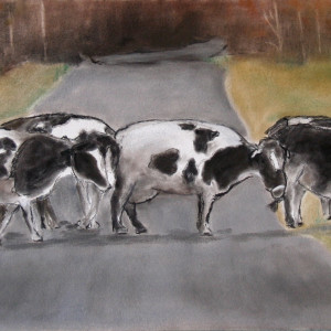 Study of Cows by barbara gulotta