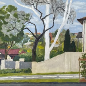Along Pittwater Road