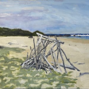 Beached Driftwood by Paul Rolfe