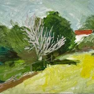 Balmain Park by Paul Rolfe