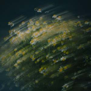 Antes de fijarse by Marisol Cid González, Image 1.