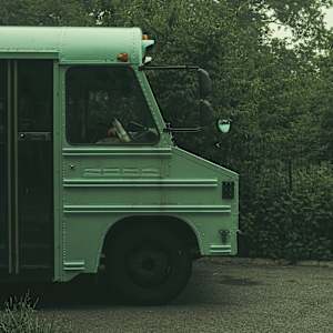 Verde siempre verde by Marisol Cid González, Image 1.