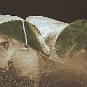 Grietas by Marisol Cid González, Image 1.