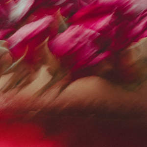 La desaparición de los recuerdos by Marisol Cid González, Image 1.