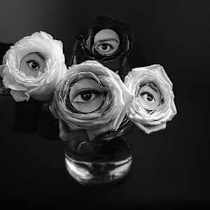 No hables del ojo que ya no ve. by Marisol Cid González, Image 1.